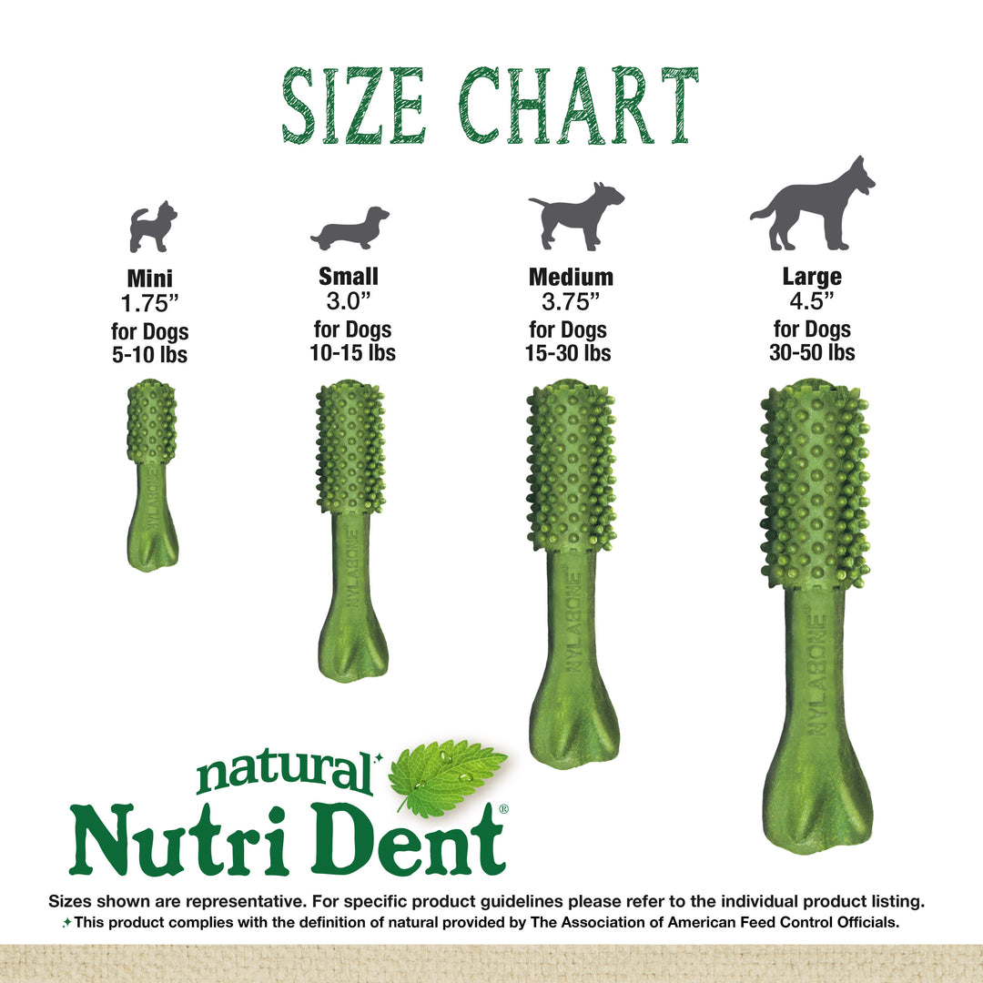 Nylabone Nutri Dent Fresh Breath Flavored Dental Dog Chew Treats Medium (40 Count)