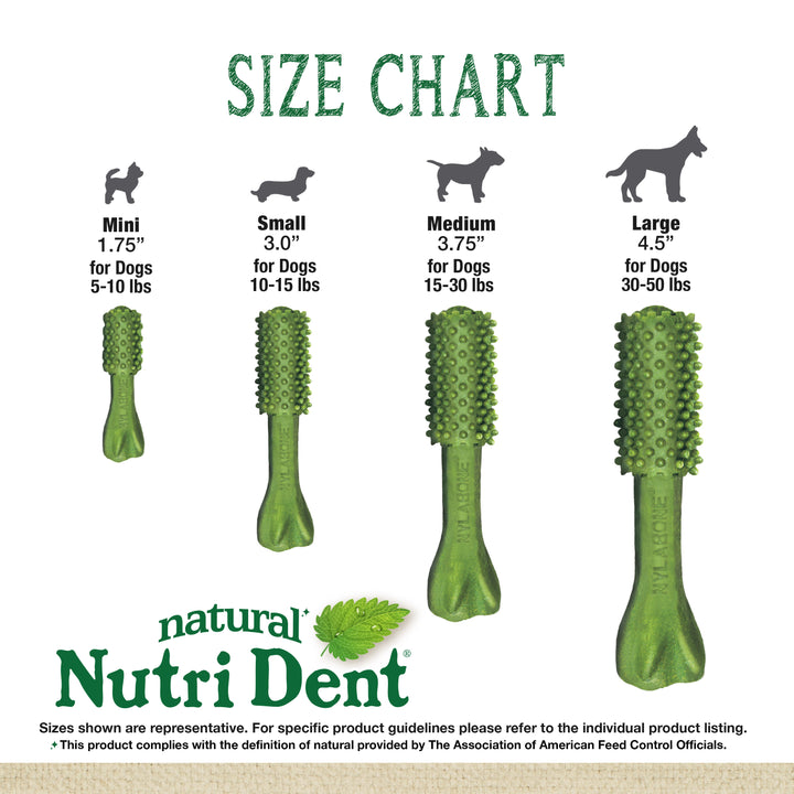 Nylabone Nutri Dent Fresh Breath Flavored Dental Dog Chew Treats Medium (40 Count)