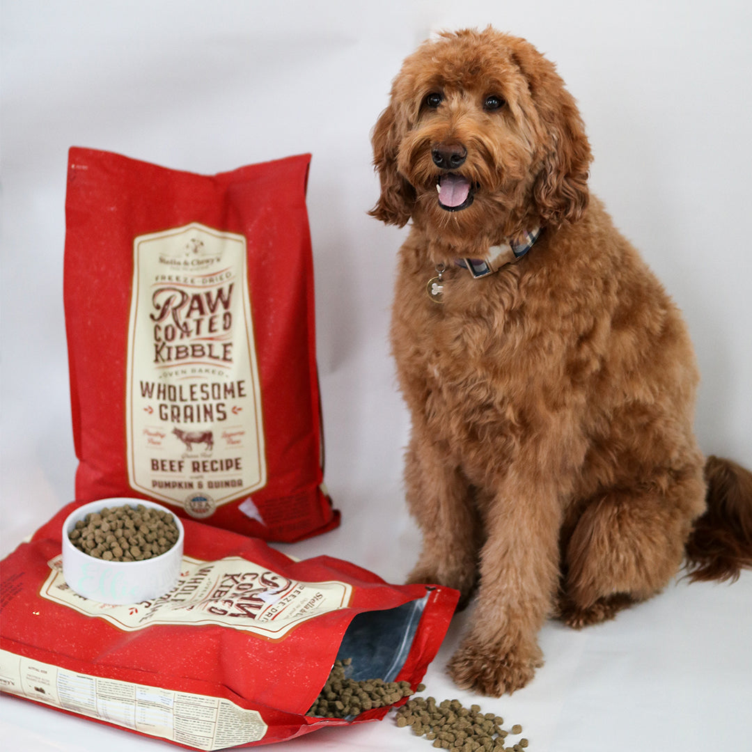 Kibble Raw Coated Wholesome Grain Beef  - 22 lb
