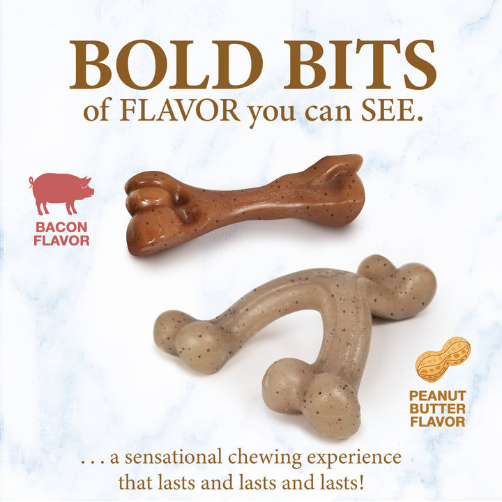 Nylabone Strong Chew Gourmet Style Wishbone &amp; Femur Bone Puppy Chew Toys Peanut Butter &amp; Bacon Small (2 Count)