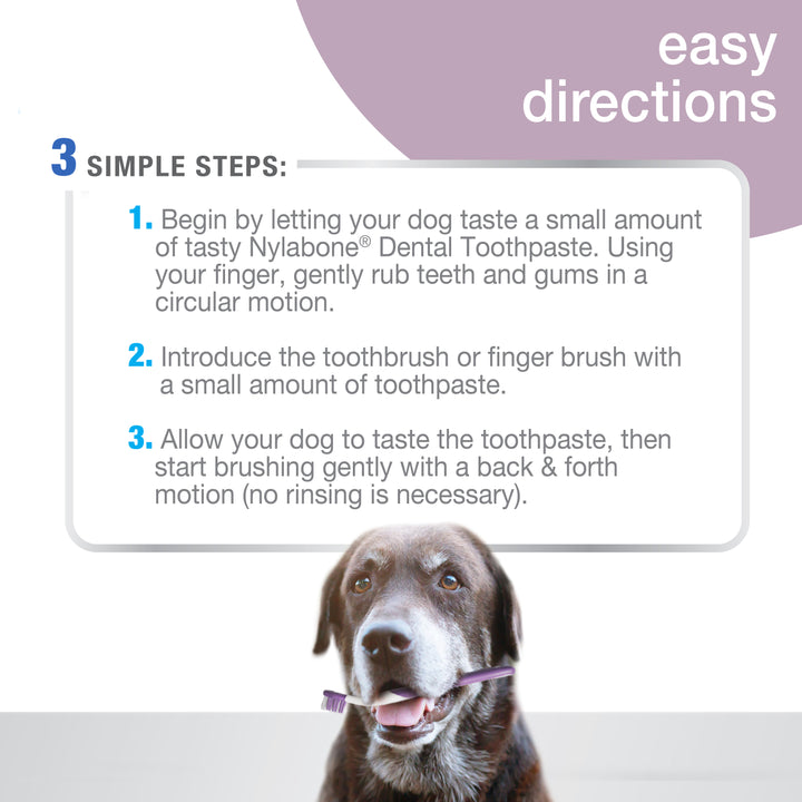Nylabone Advanced Oral Care Senior Dog Dental Kit Bacon (3 Count)