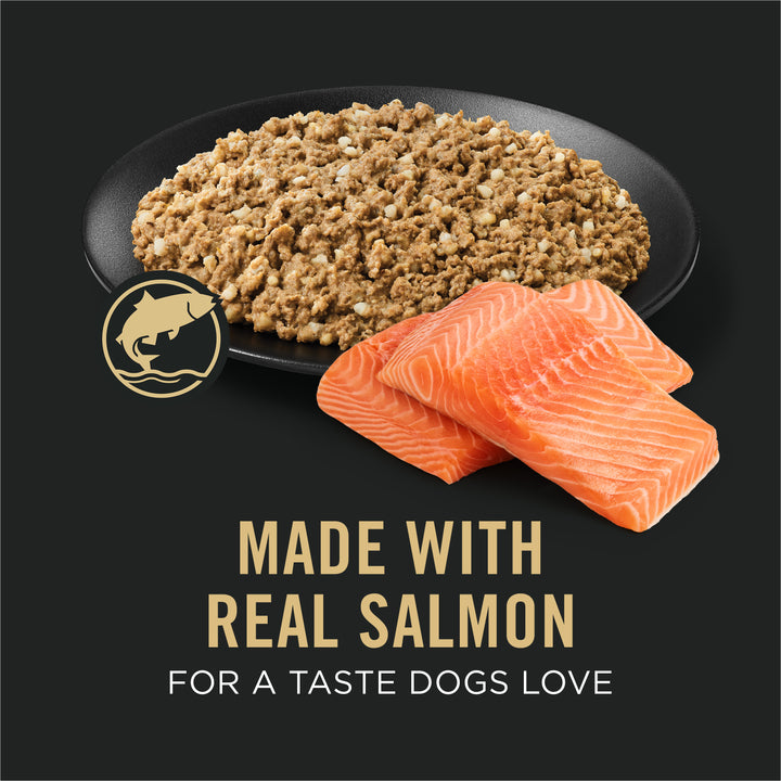 Pro Plan Sensitive Skin Stomach Salmon Rice Dog 13 oz unpacked
