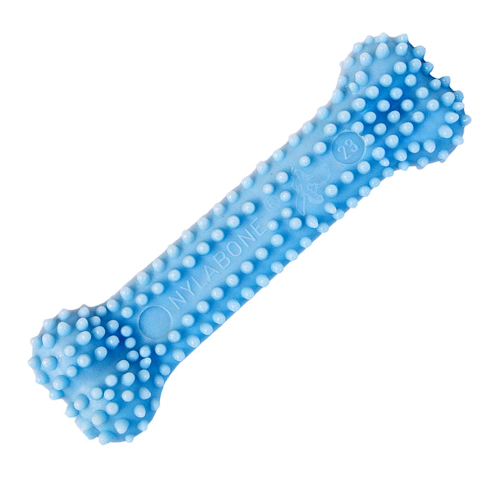 Nylabone Puppy Chew Textured Teething Bone Dog Chew Toy Chicken X-Small (1 Count)