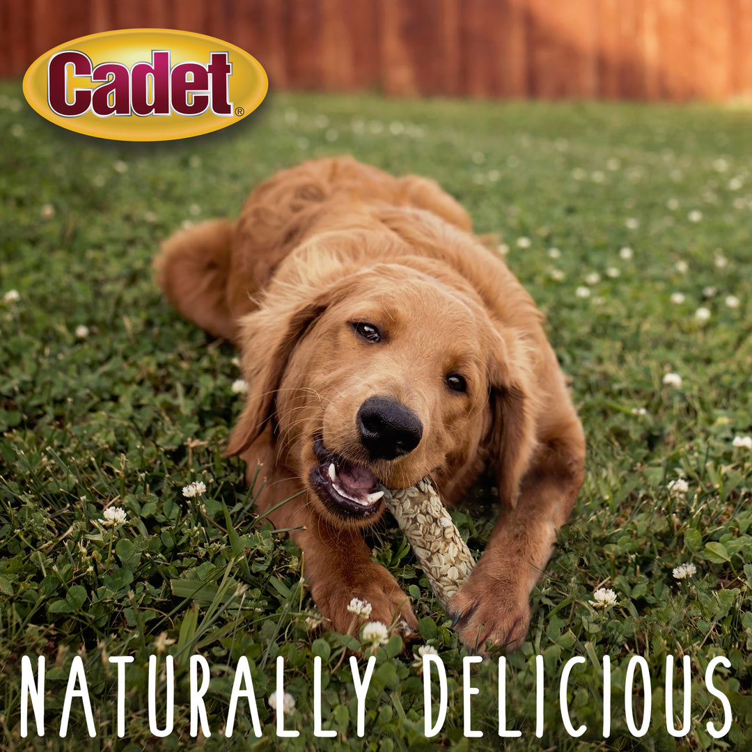 Cadet Smart Hide Rawhide Free Dog Chews Chicken, Sweet Potato, &amp; Oats (2 Count)