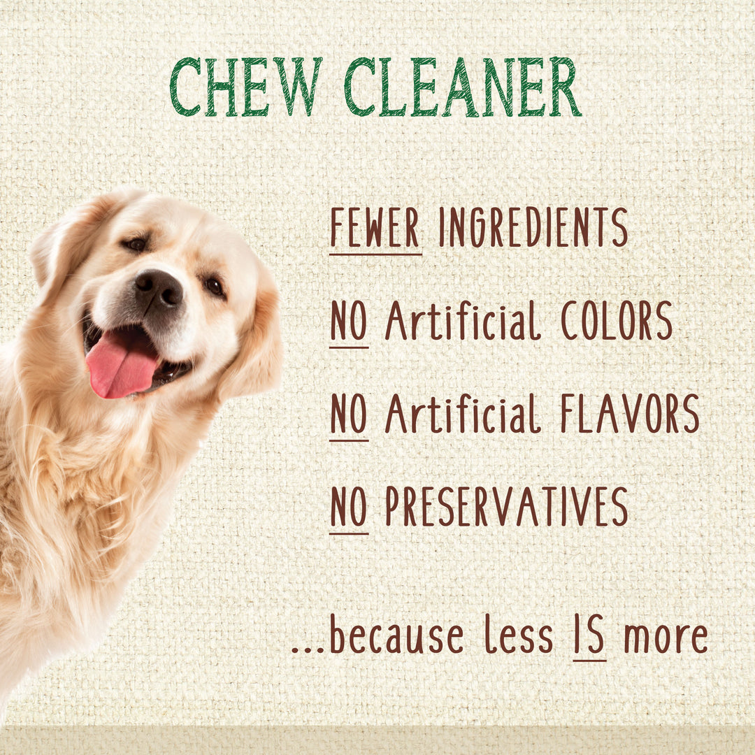 Nylabone Nutri Dent Filet Mignon Flavored Dental Dog Chew Treats X-Large (1 Count)
