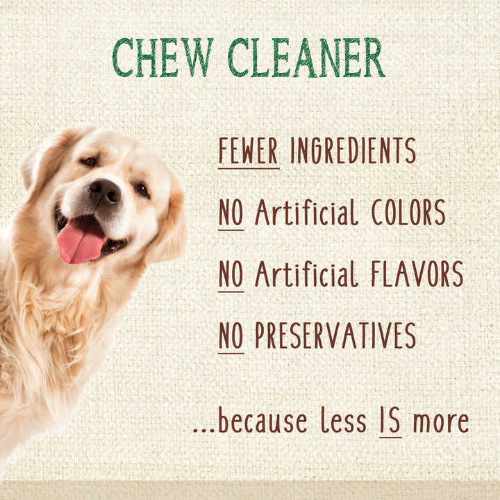 Nylabone Nutri Dent Filet Mignon Flavored Dental Dog Chew Treats X-Large (1 Count)