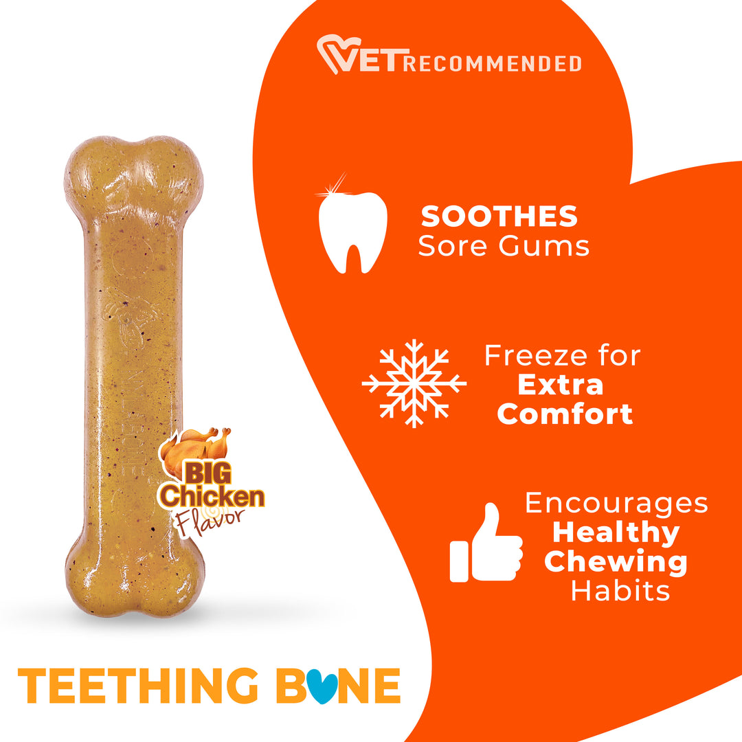 Nylabone Puppy Chew Teething Bone Dog Chew Toy Chicken Small (1 Count)