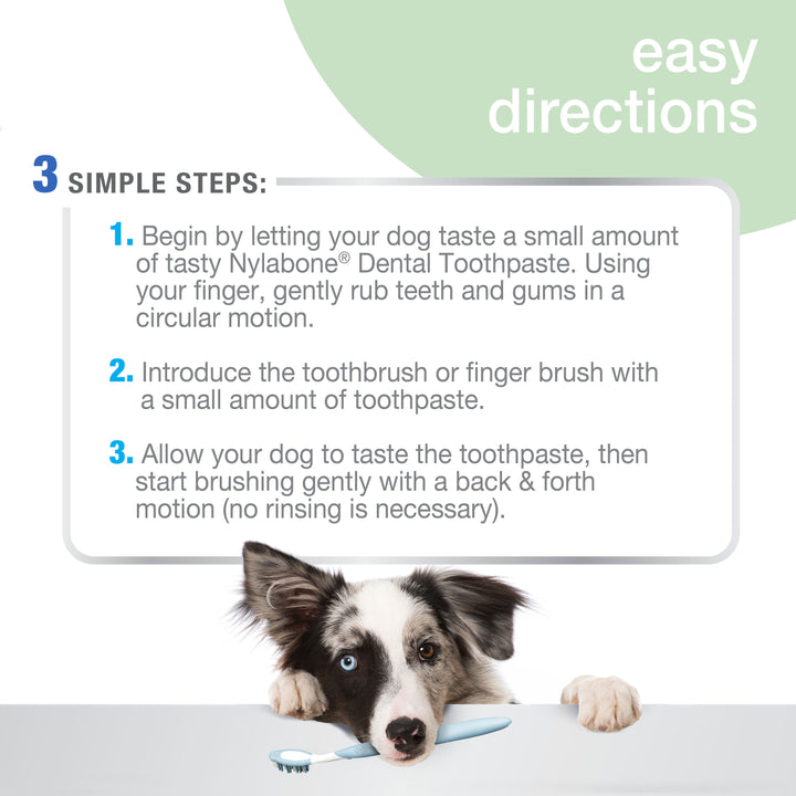 Nylabone Advanced Oral Care Natural Toothpaste Peanut Butter 2.5 Ounce (1 Count)