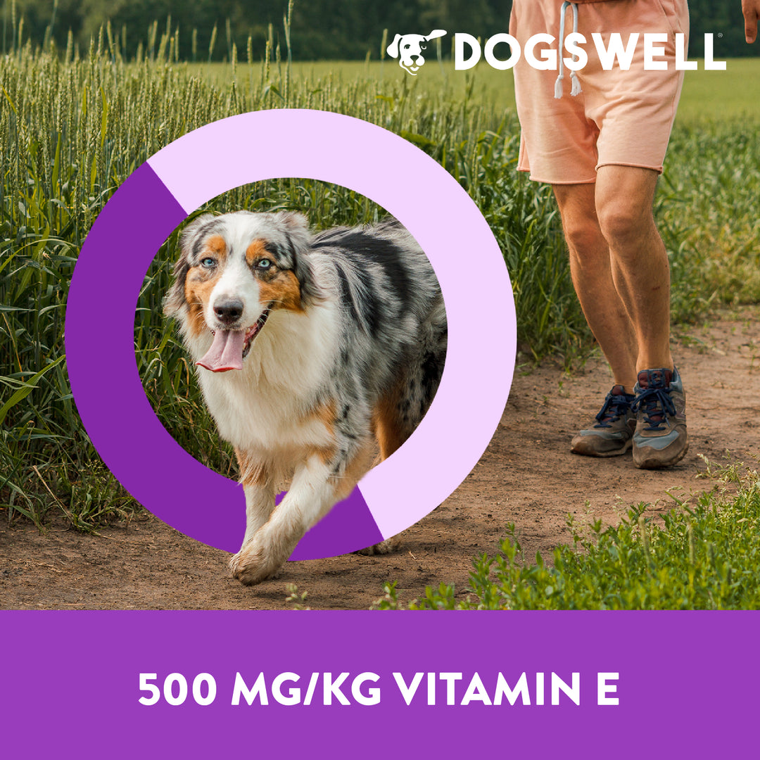 Dogswell Immunity and Defense GF Chicken Jerky 20oz.