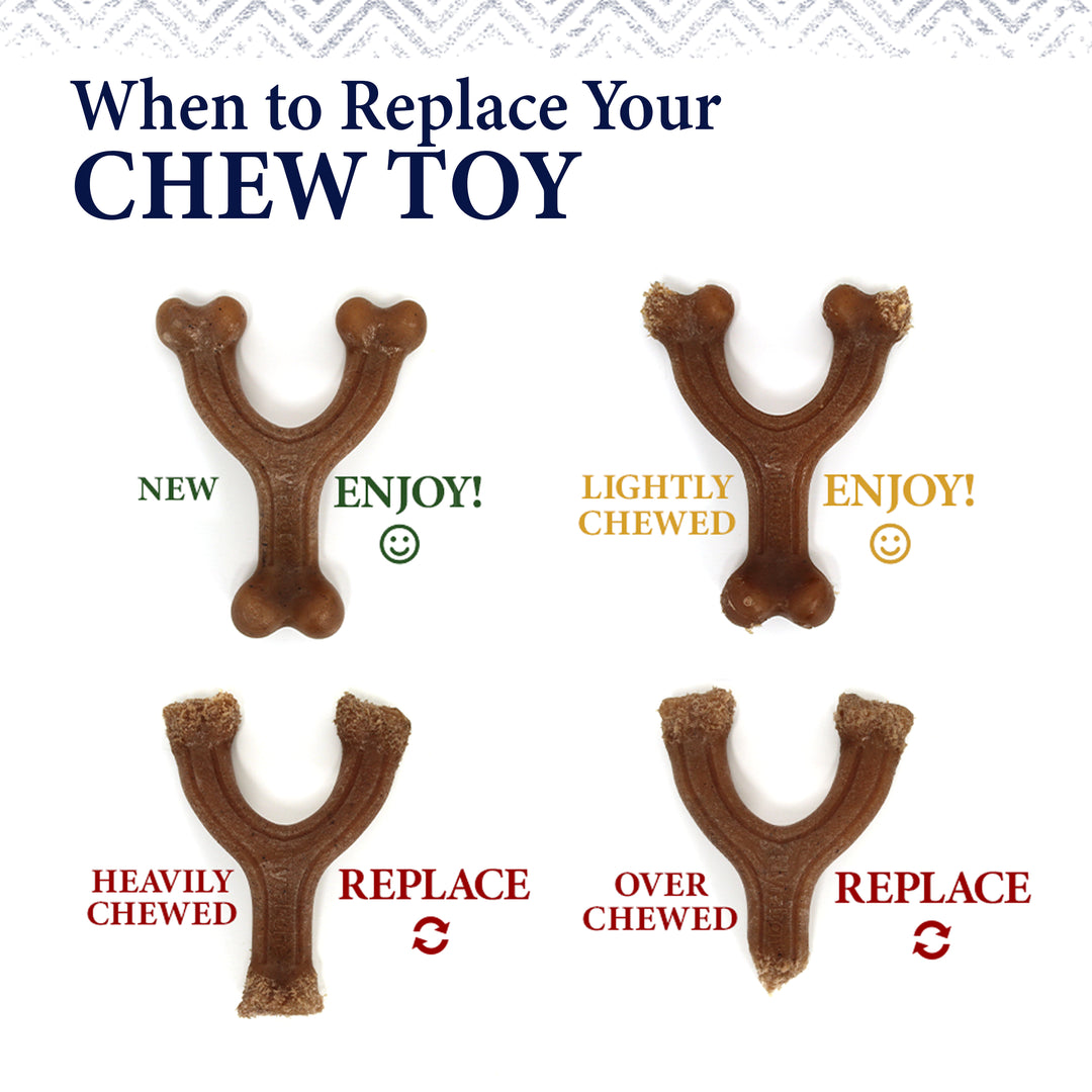 Nylabone Strong Chew Gourmet Style Wishbone Dog Chew Toy Bacon Large (1 Count)