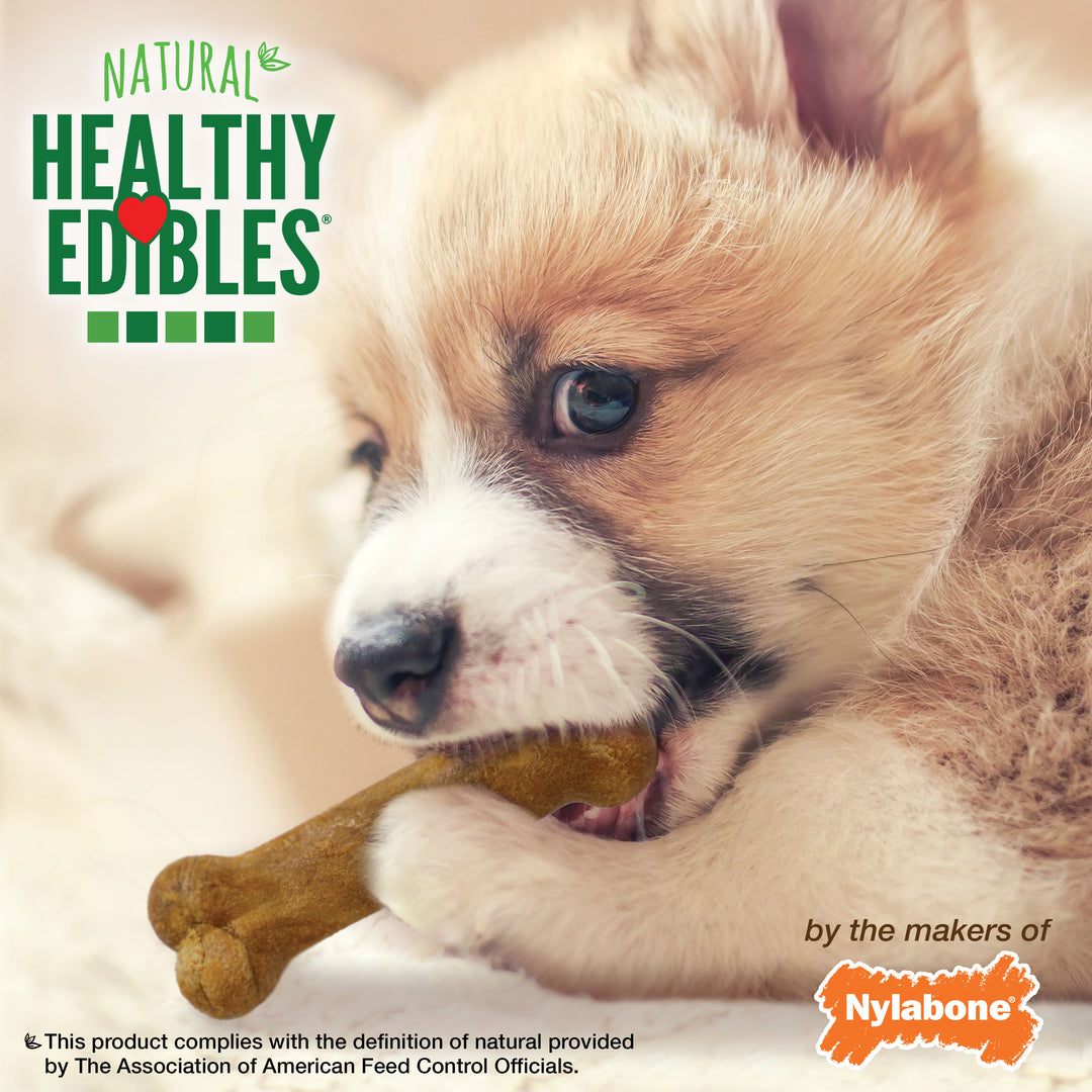 Nylabone Healthy Edibles All-Natural Long Lasting Puppy Chew Treats Roast Beef, Turkey, Apple, Bacon X-Small (3 Count)