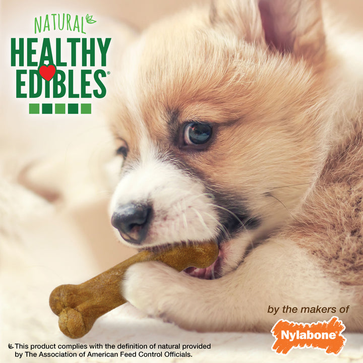 Nylabone Healthy Edibles All-Natural Long Lasting Puppy Chew Treats Roast Beef, Turkey, Apple, Bacon X-Small (3 Count)