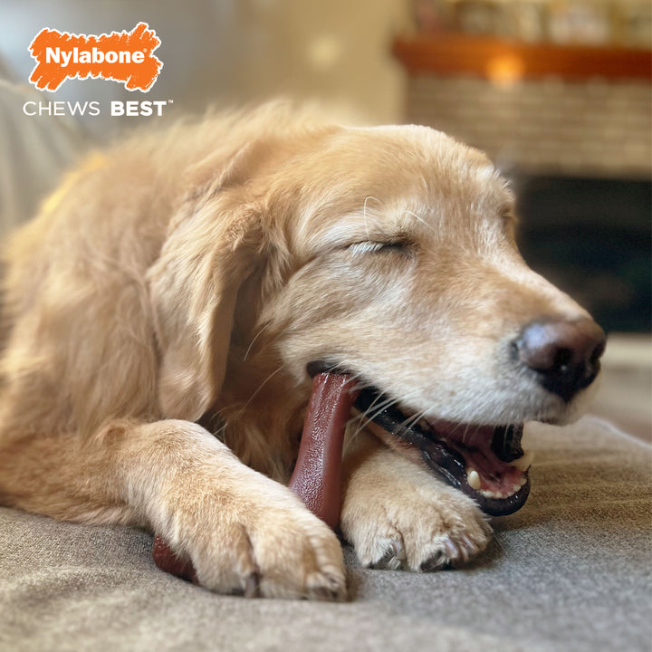 Nylabone Power Chew Elk Bone Alternative Chew Toy Venison X-Large (1 Count)