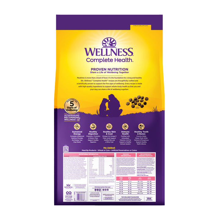 Wellness Complete Health Sensitive Skin &amp; Stomach Dry Dog Food, Wholesome Grains, Salmon &amp; Rice Recipe, 38-Pound Bag