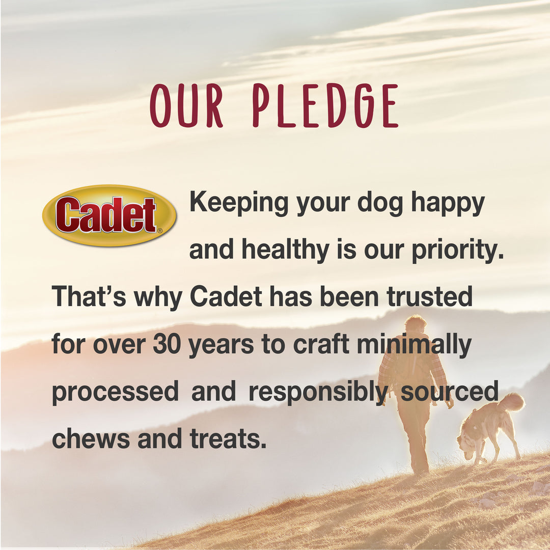 Cadet Stuffed Shin Bones for Dogs Peanut Butter Small (1 Count)