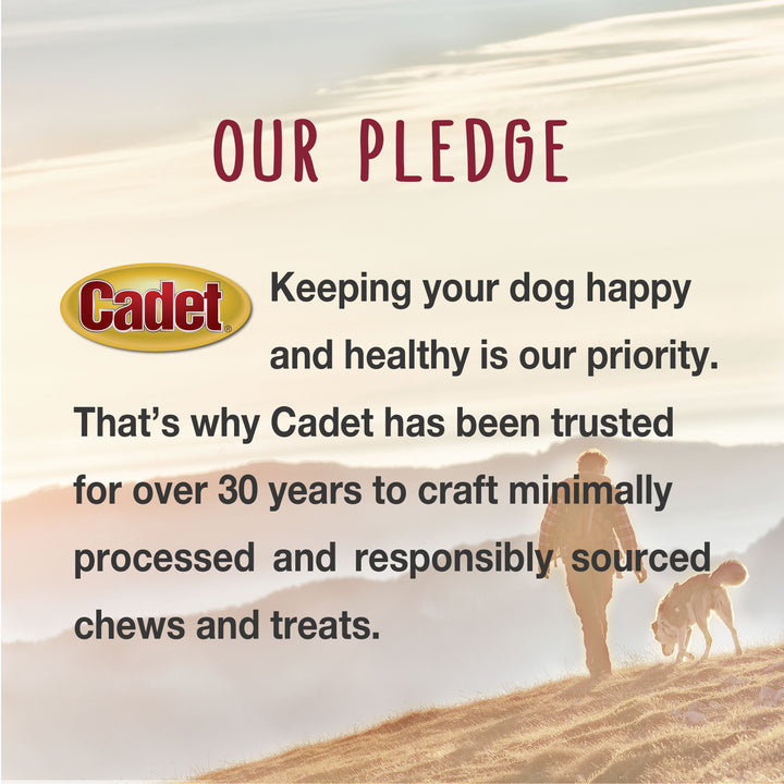 Cadet Stuffed Shin Bones for Dogs Peanut Butter Small (1 Count)