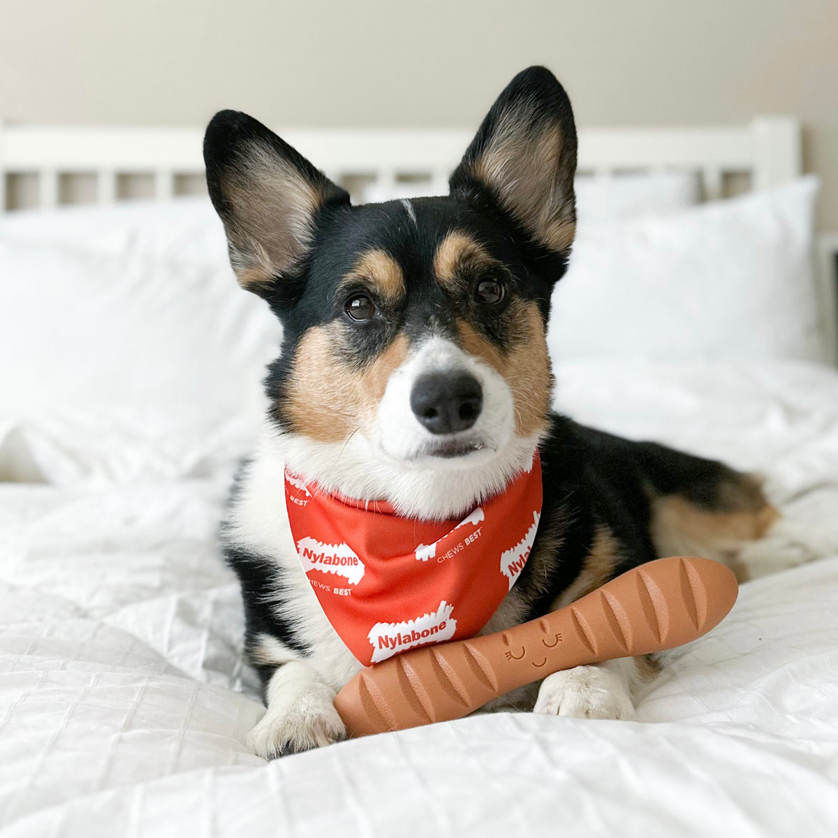 Nylabone Power Chew Baguette Dog Toy Roast Chicken Large (1 Count)
