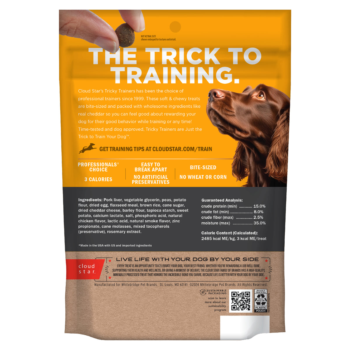 Cloud Star Chewy Cheddar Training Treats 14oz - back