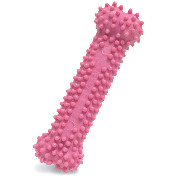 Nylabone Puppy Chew Textured Teething Bone Dog Chew Toy Chicken X-Small (1 Count)