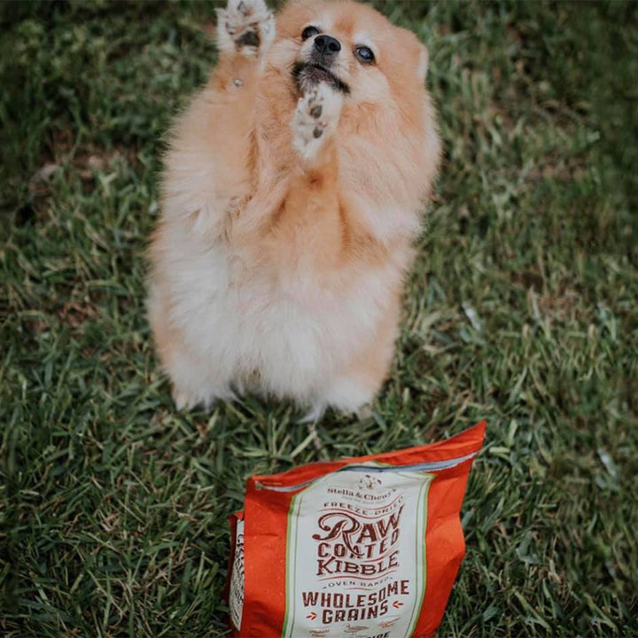 Kibble Raw Coated Wholesome Grain Duck - 3.5 lb