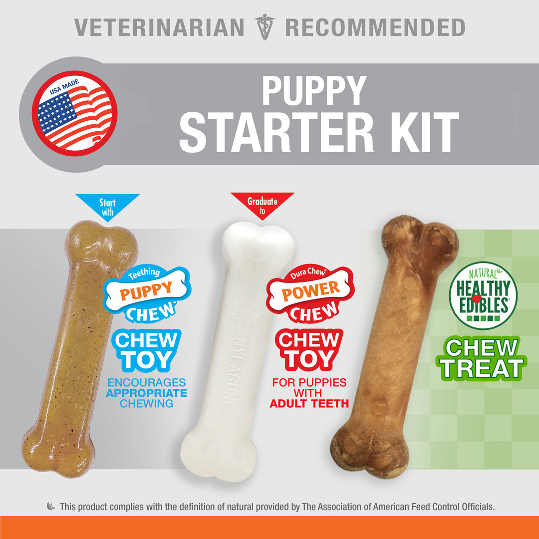 Nylabone Puppy Chew Starter Kit Chew Toy with Chew Treat Chicken &amp; Bacon Small (3 Count)