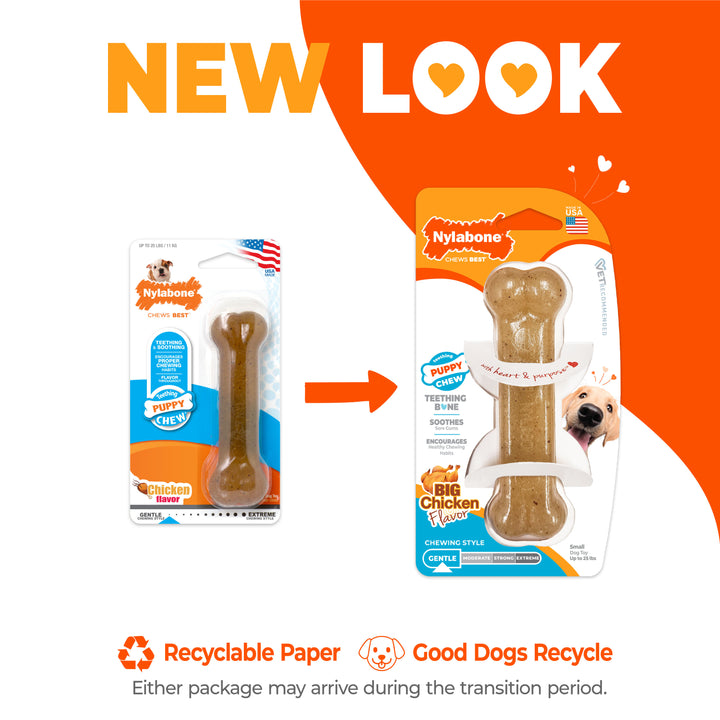 Nylabone Puppy Chew Teething Bone Dog Chew Toy Chicken Small (1 Count)