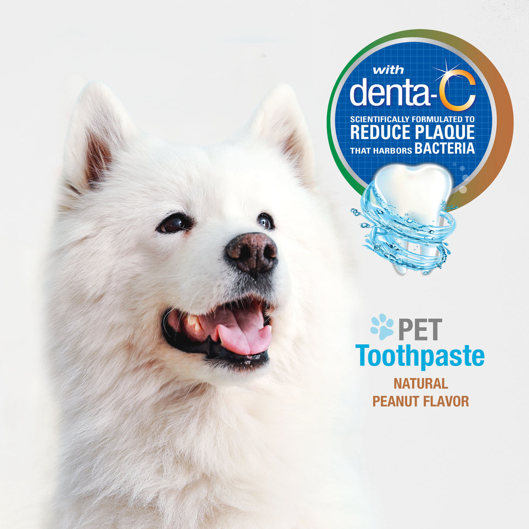 Nylabone Advanced Oral Care Natural Toothpaste Peanut Butter 2.5 Ounce (1 Count)