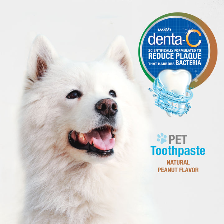Nylabone Advanced Oral Care Natural Toothpaste Peanut Butter 2.5 Ounce (1 Count)