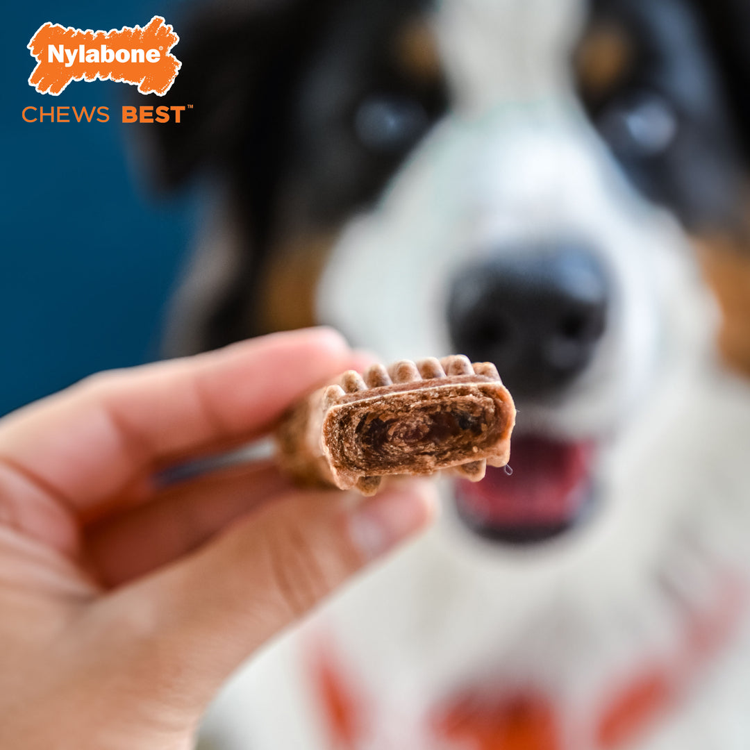 Nylabone Healthy Edibles Meaty Center All-Natural Long Lasting Chew Treats Beef Medium (2 Count)