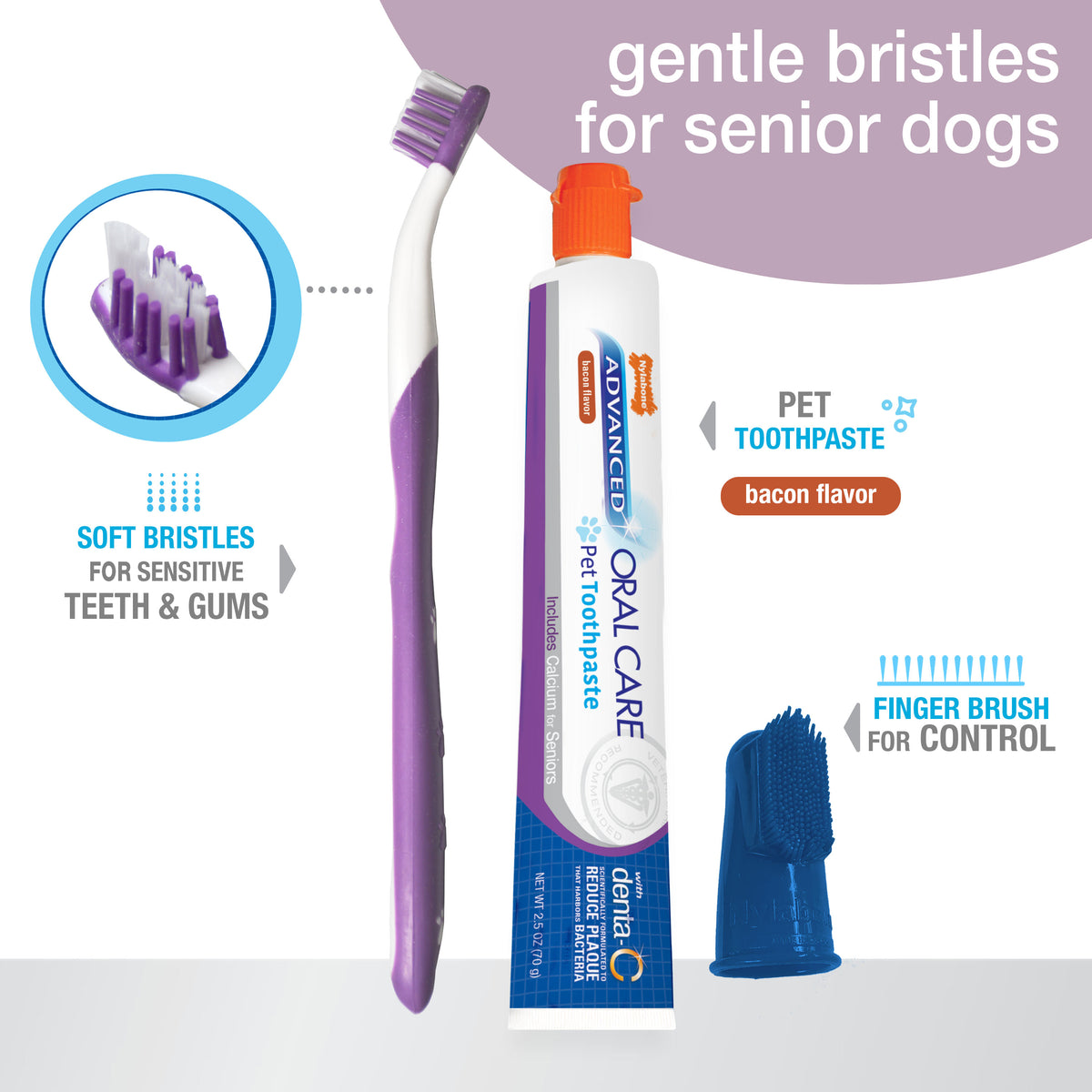 Nylabone Advanced Oral Care Senior Dog Dental Kit Bacon (3 Count)