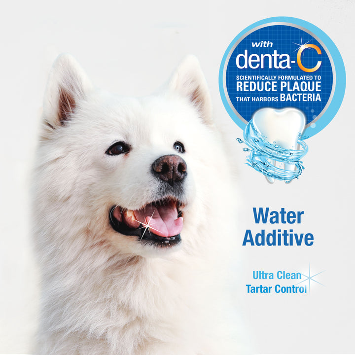 Nylabone Advanced Oral Care Water Additive for Dogs Original 32 Ounce (1 Count)