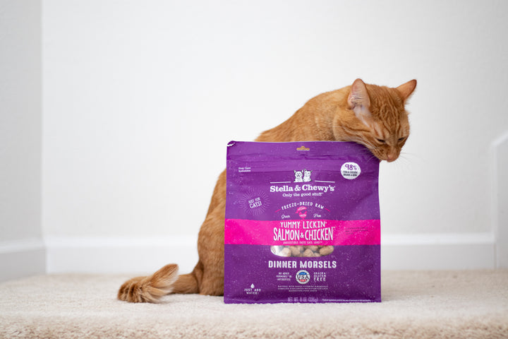 Freeze-Dried Yummy Lickin Salmon &amp; Chicken Morsels - 8 oz