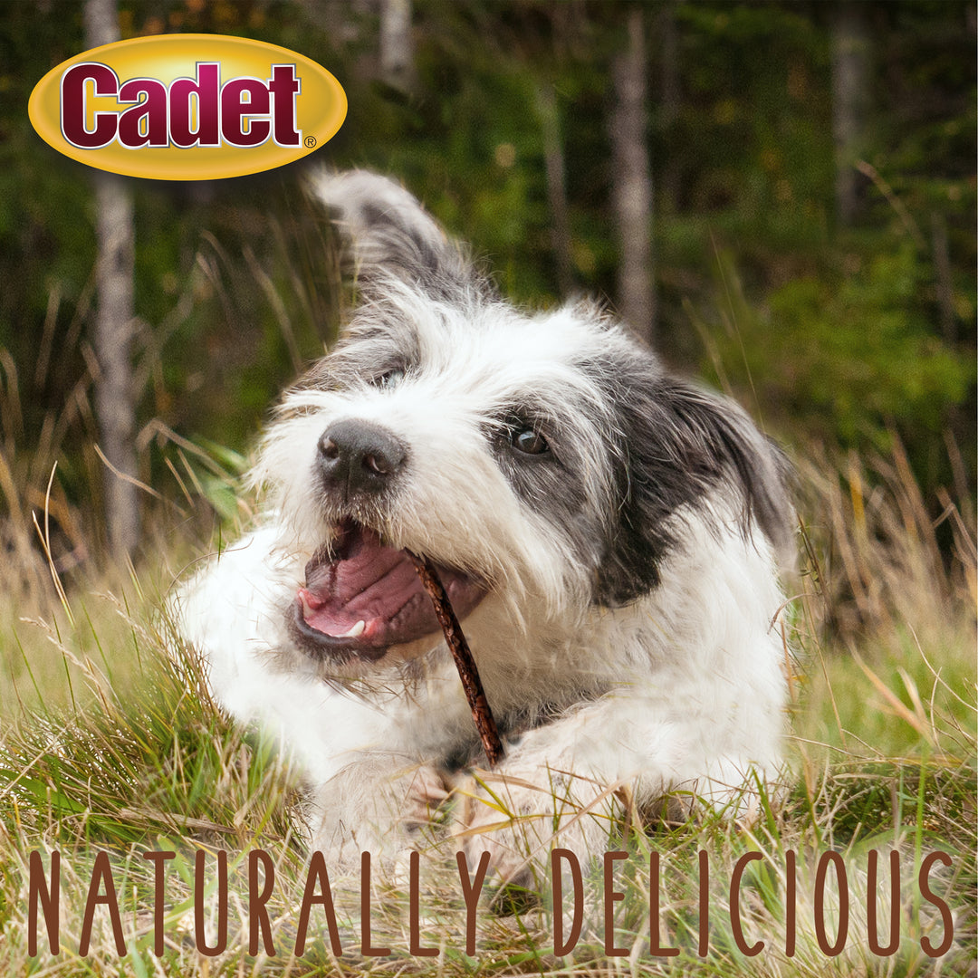 Cadet Munchy Beef Hide Sticks for Dogs 5 Inch (150 Count)