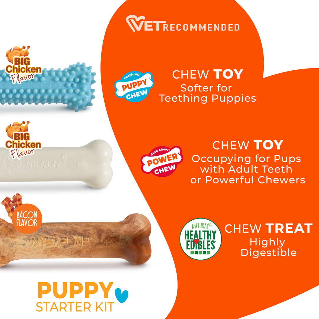 Nylabone Puppy Chew Starter Kit Chew Toy with Chew Treat Chicken &amp; Bacon Blue Small (3 Count)