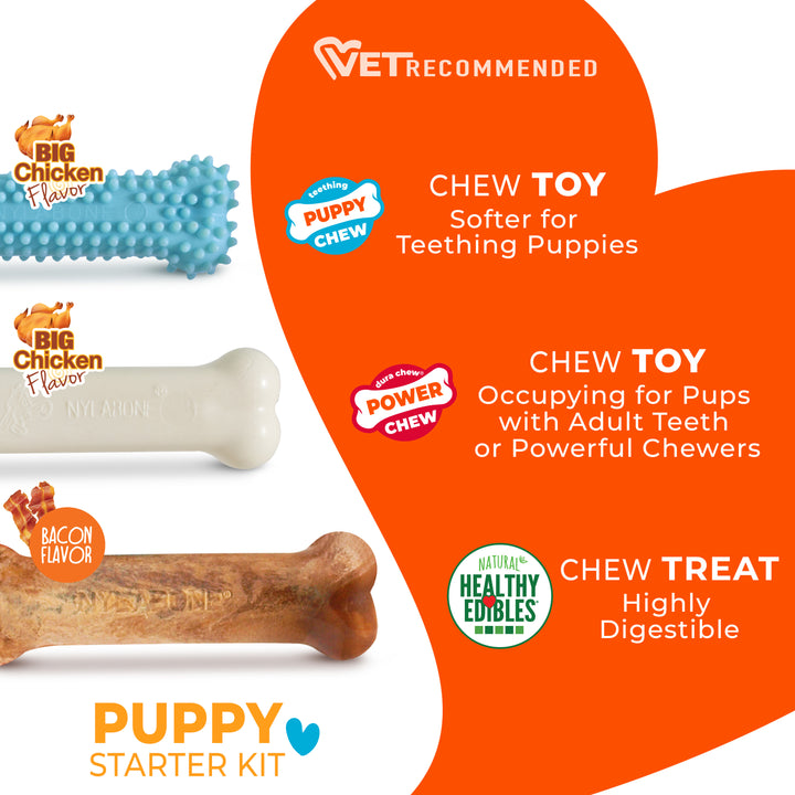 Nylabone Puppy Chew Starter Kit Chew Toy with Chew Treat Chicken &amp; Bacon Blue Small (3 Count)