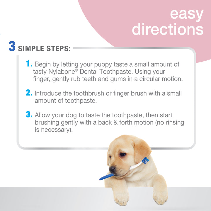 Nylabone Advanced Oral Care Puppy Dental Kit Original 2.5 Ounce (3 Count)