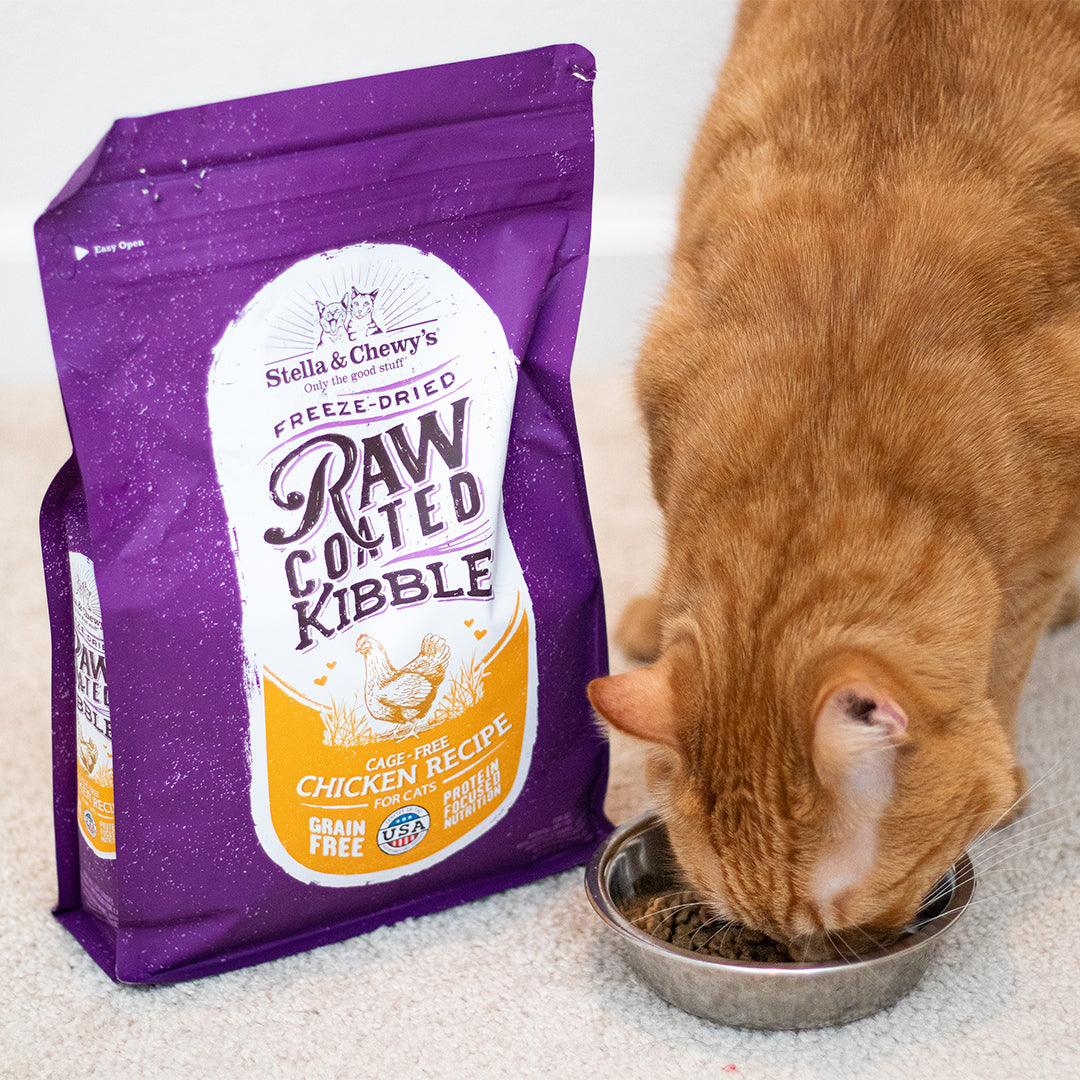 Kibble Raw Coated Chicken - 2.5 lb