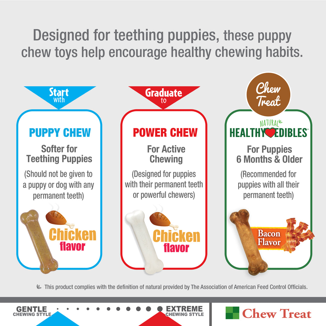 Nylabone Puppy Chew Starter Kit Chew Toy with Chew Treat Chicken &amp; Bacon Small (3 Count)