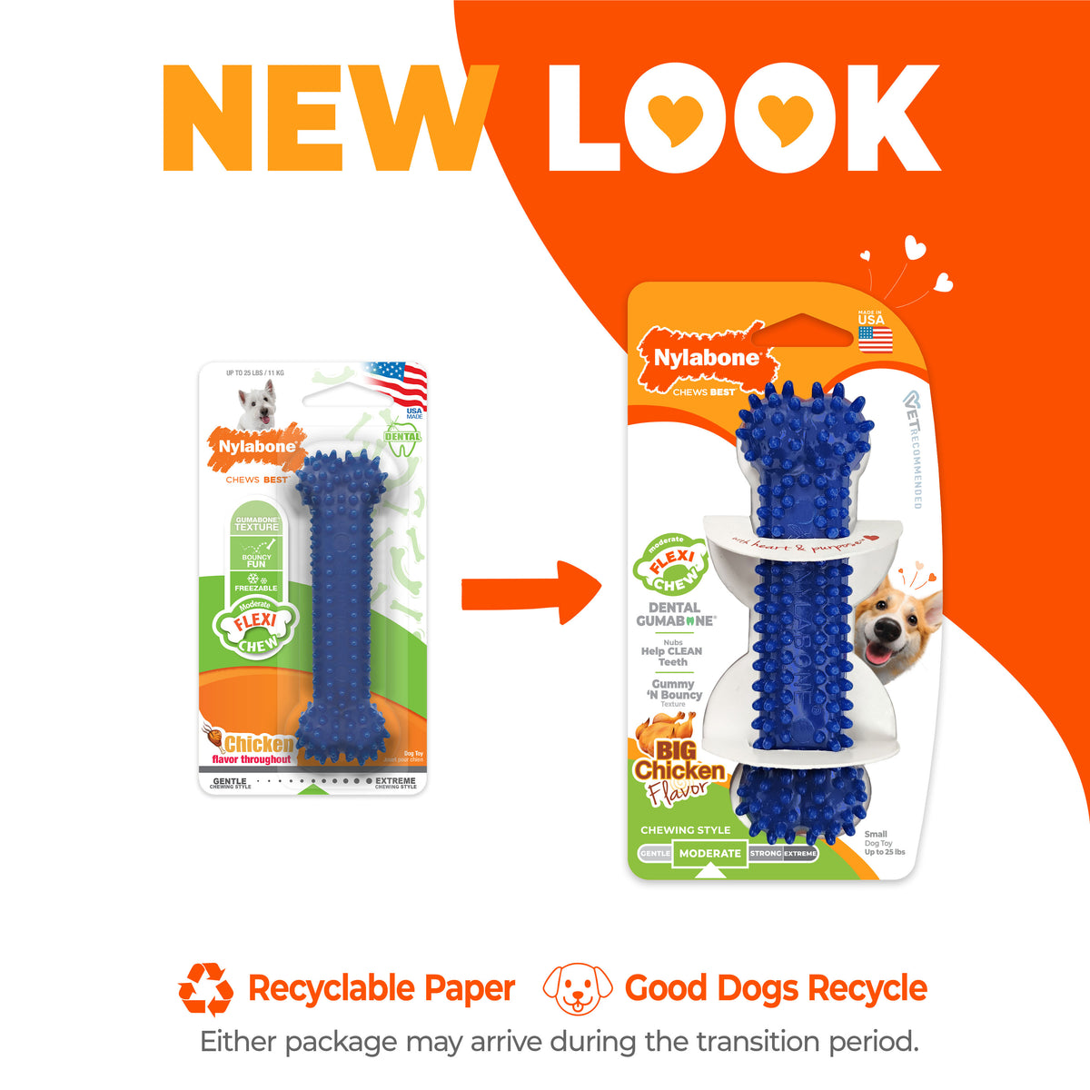 Nylabone Flexi Chew Gumabone Textured Dental Bone Dog Chew Toy Chicken Small (1 Count)