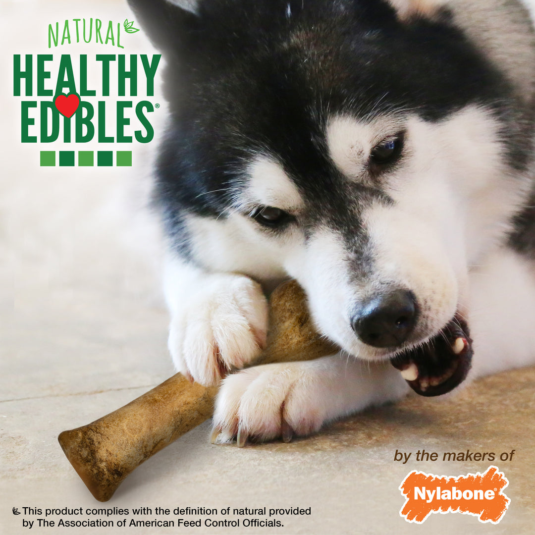 Nylabone Healthy Edibles All-Natural Long Lasting Chew Treats Roast Beef X-Large (2 Count)