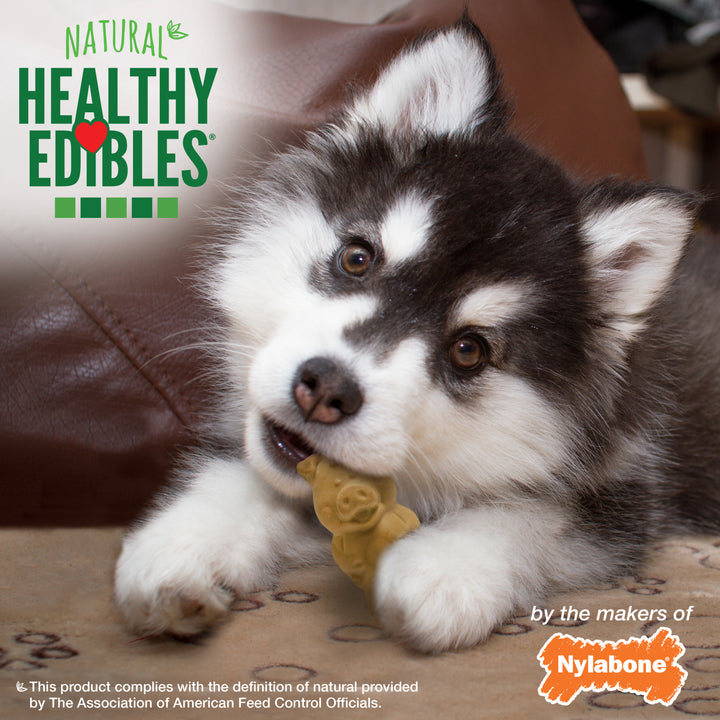 Nylabone Healthy Edibles All-Natural Long Lasting Puppy Chew Treats Lamb &amp; Apple Small (4 Count)