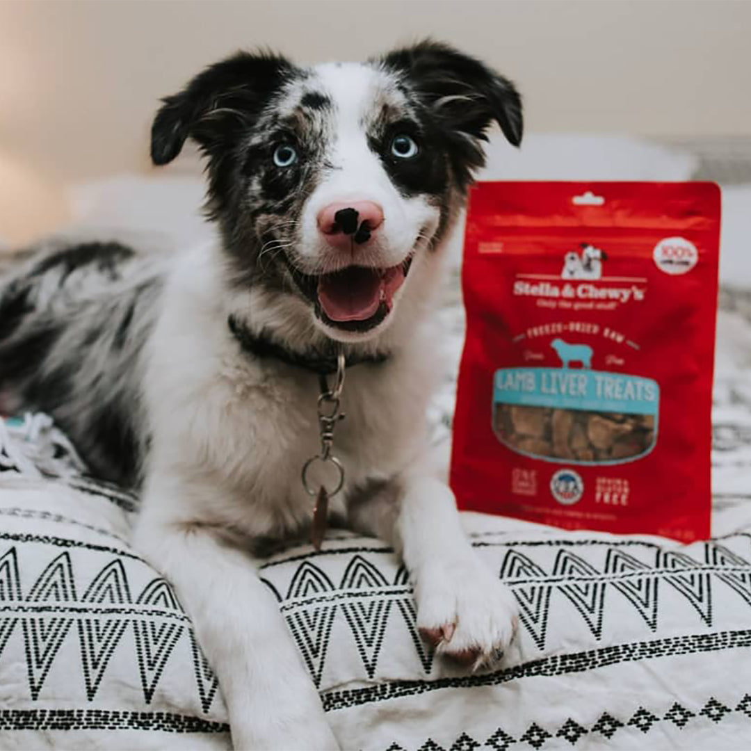 Single Ingredient Treats Lamb Liver - 3 oz
