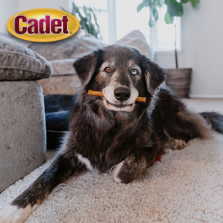 Cadet Chewalicious Rawhide-Free Natural Classic Chewy Twists Peanut Butter (15 Count)