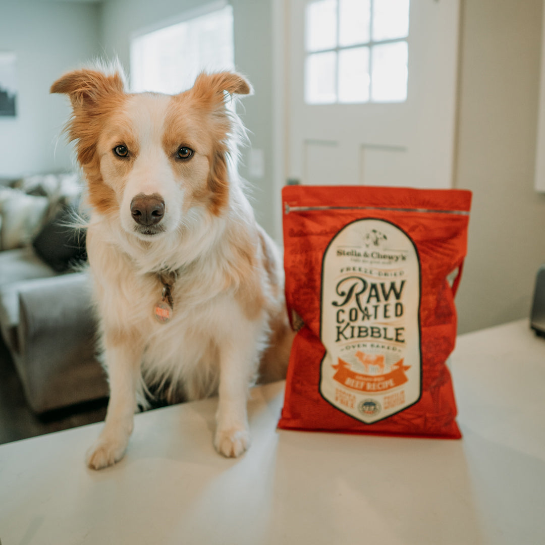 Kibble Raw Coated Beef - 3.5 lb