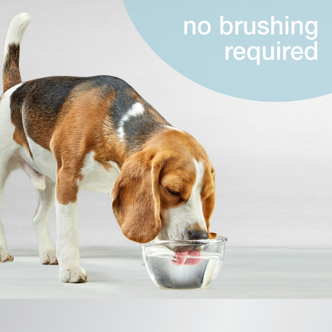 Nylabone Advanced Oral Care Water Additive for Dogs Original 16 Ounce (1 Count)