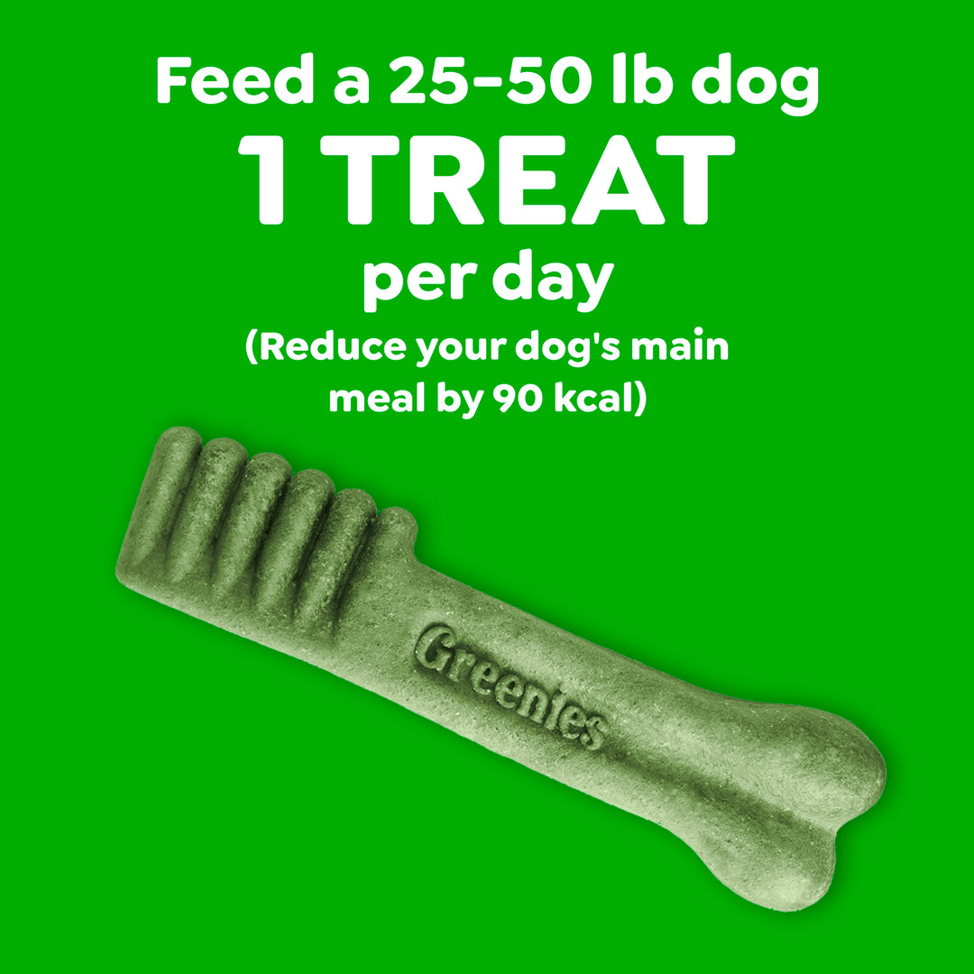 Greenies Regular Aging Care Dental Treats 27oz