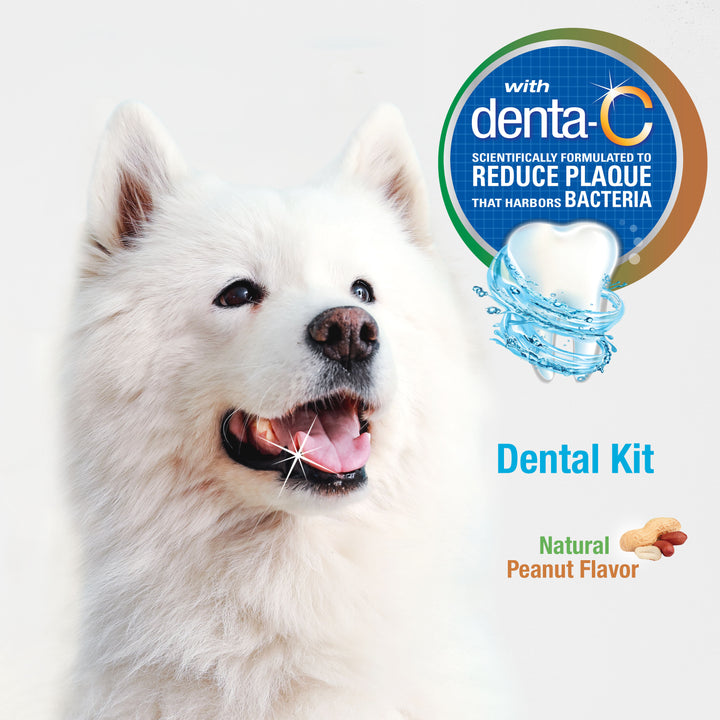Nylabone Advanced Oral Care Natural Dog Dental Kit Peanut Butter 2.5 Ounce (3 Count)