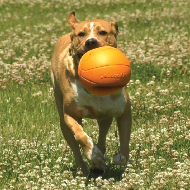 Nylabone Power Play B-Ball Gripz Basketball Dog Toy Large 6.5 Inch (1 Count)