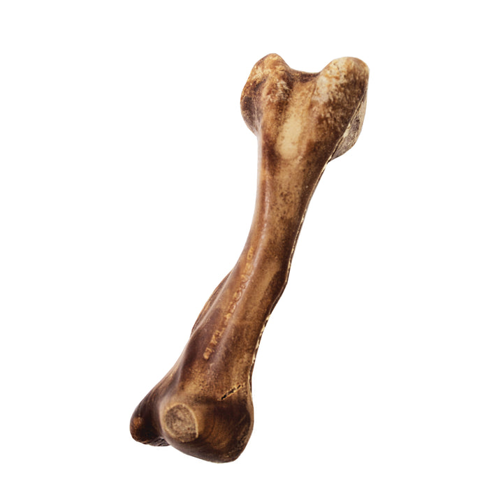 Nylabone Healthy Edibles WILD All-Natural Long Lasting Chew Treats Venison Large (1 Count)