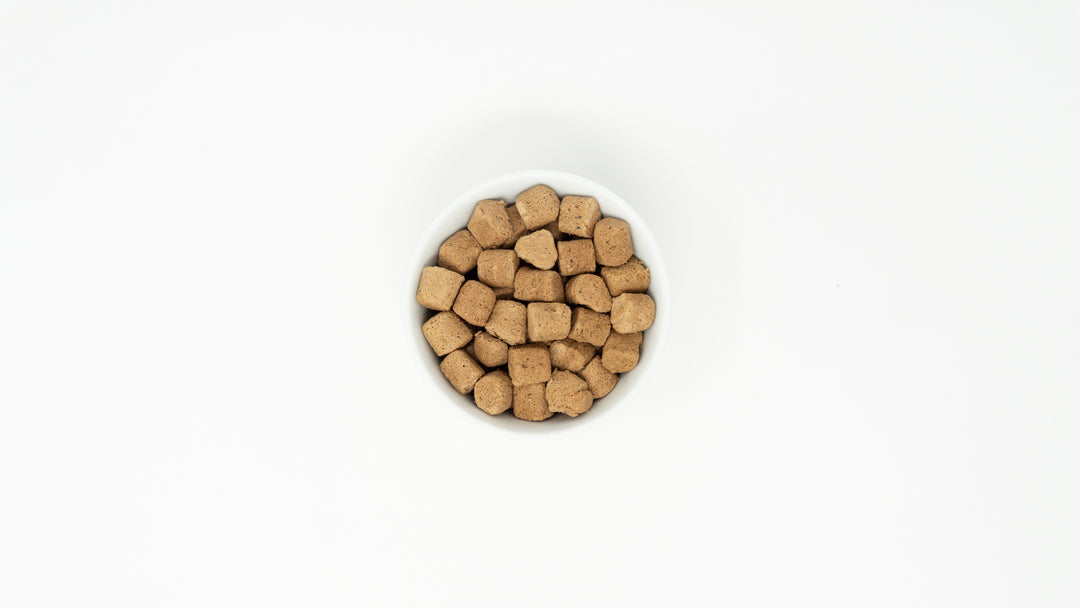 Freeze-Dried Puppy Beef and Salmon Meal Mixers - 3.5 oz